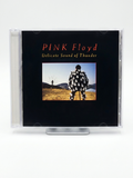 Pink Floyd - Delicate Sound of Thunder (CD)